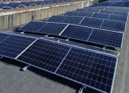 Analytical study: "Energy efficiency of electric transport enterprises in Ukraine"